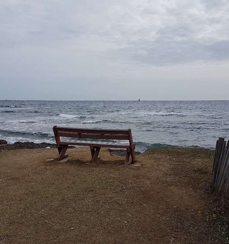 Pointe des Sardinaux景点图片