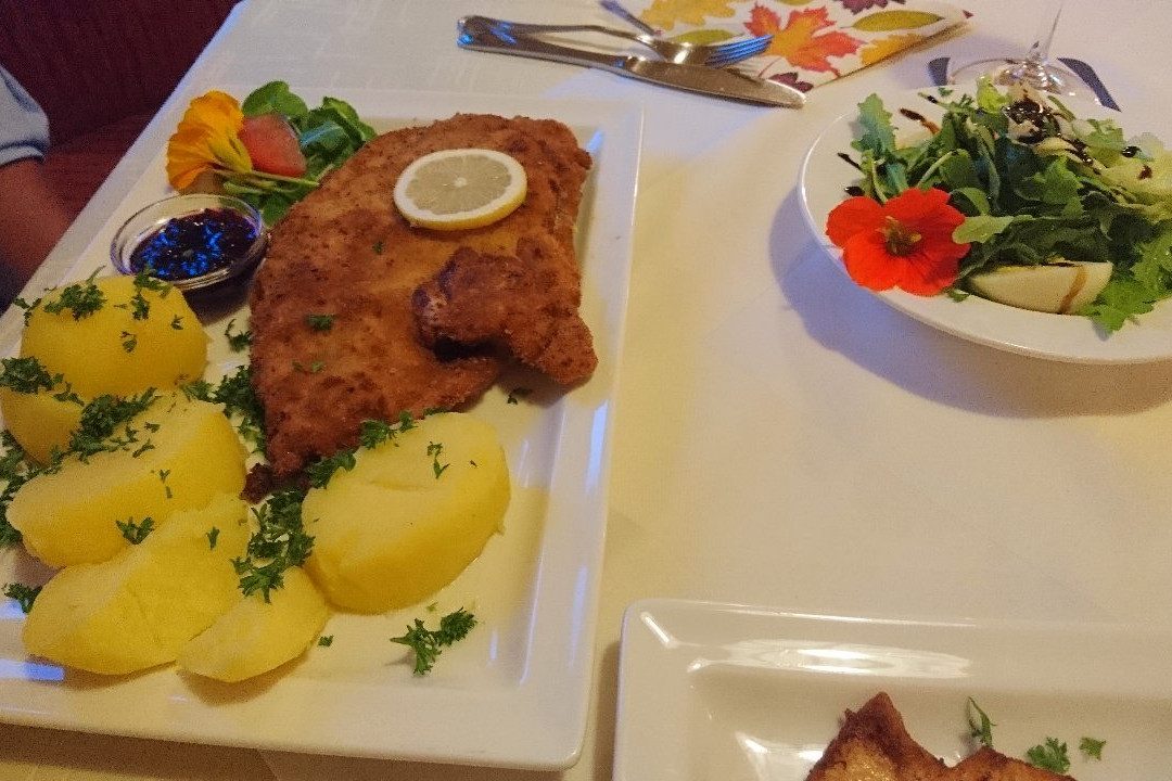 Gasthof-Pension Schontal主图