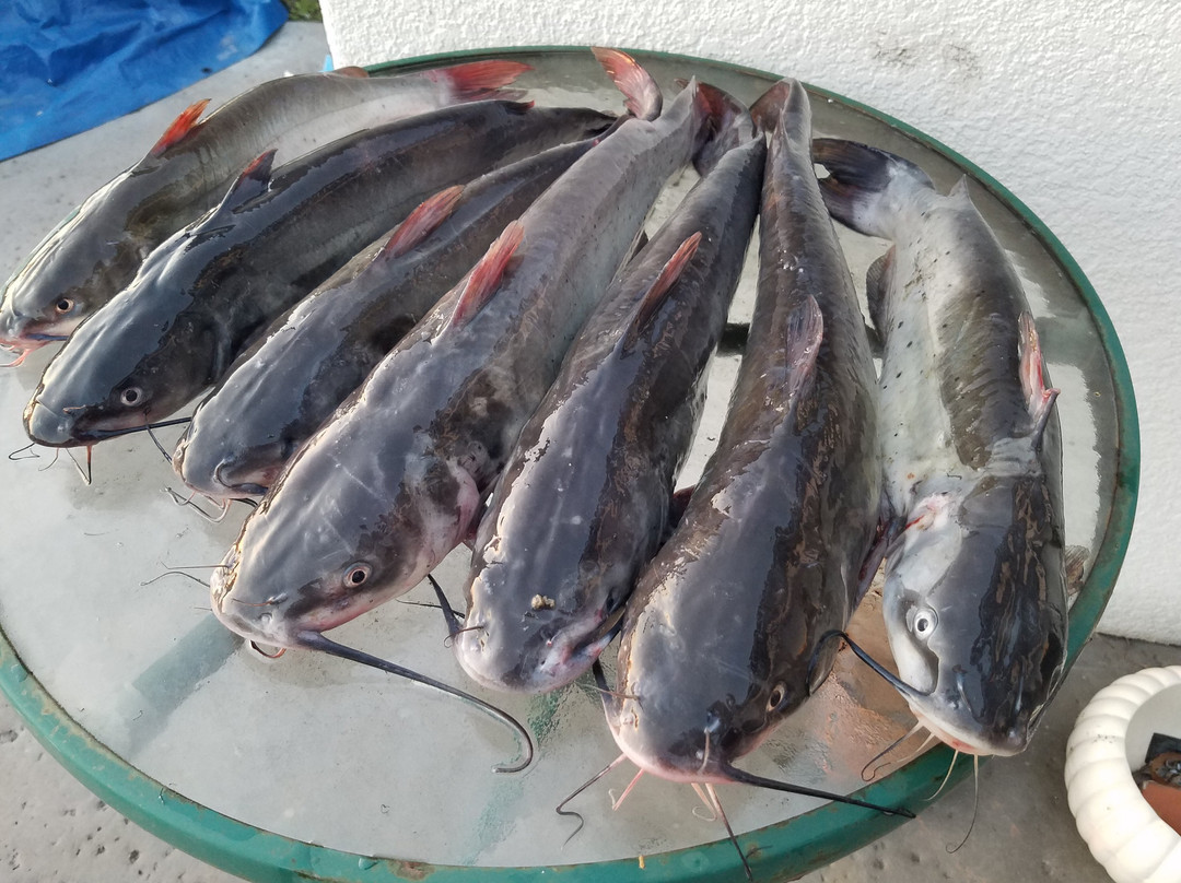 Santa Ana River Lakes-阿纳海姆必去景点