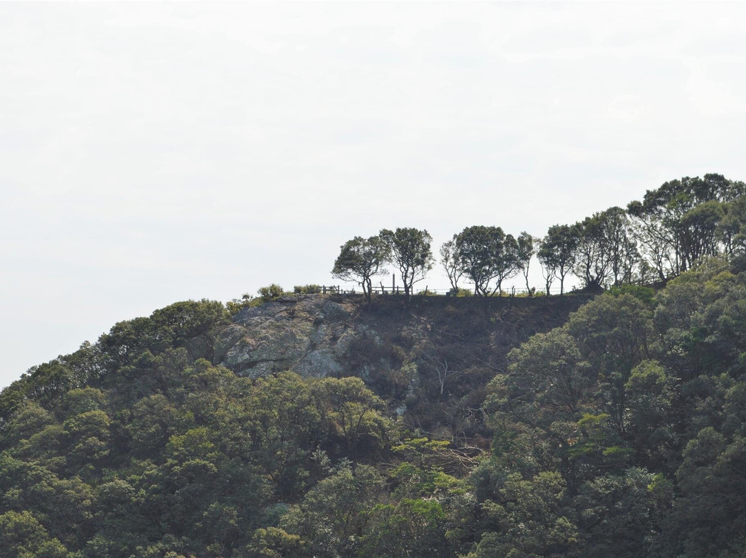 Tsurumizaki Panorama Lookout-佐伯市必去景点