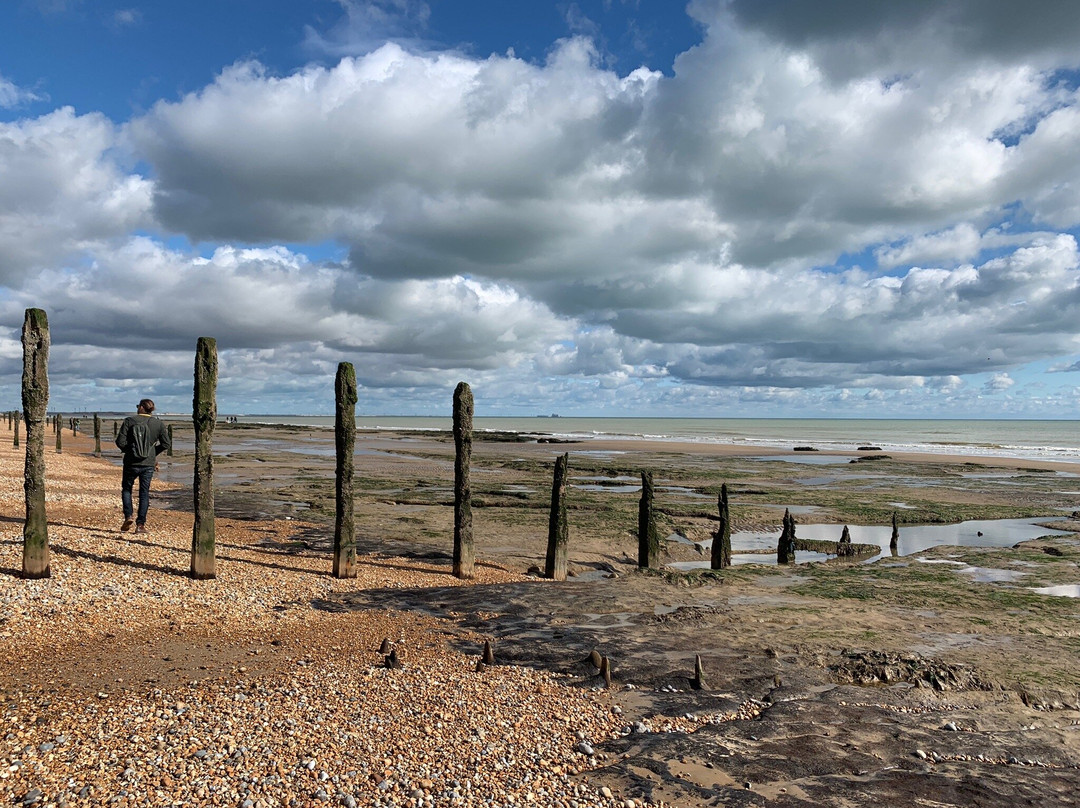 Winchelsea Beach景点图片