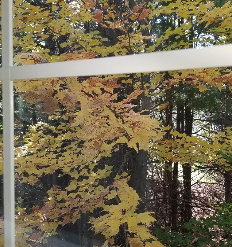 Comfort Suites Marquette主图