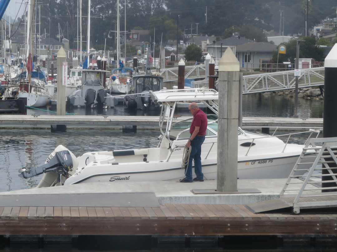 Santa Cruz Harbor-圣克鲁斯必去景点