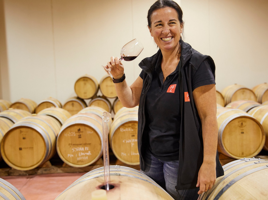 Bodegas Miquel Oliver景点图片