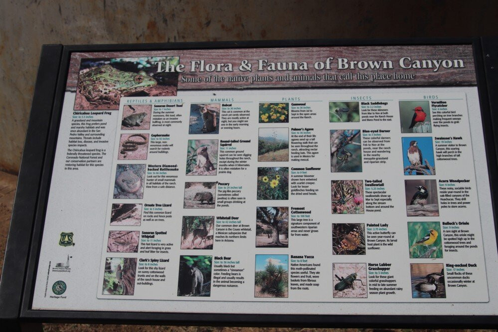 Brown's Canyon Ranch景点图片