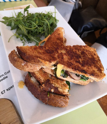 Meandering Bear-哈里法克斯必去景点