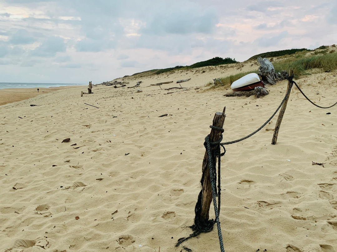 Plage du Penon景点图片