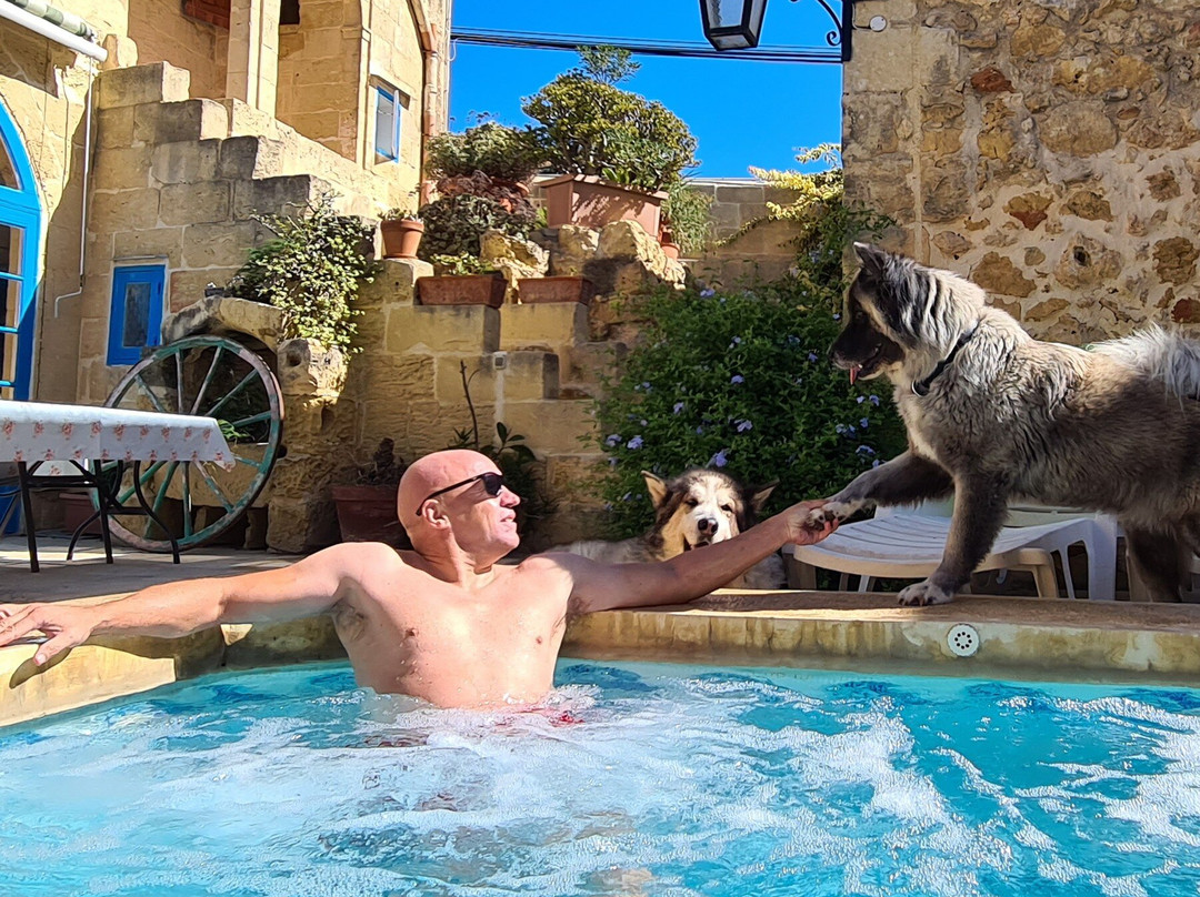 Zebbug酒店住宿-The Olive Grove Farmhouse B&B