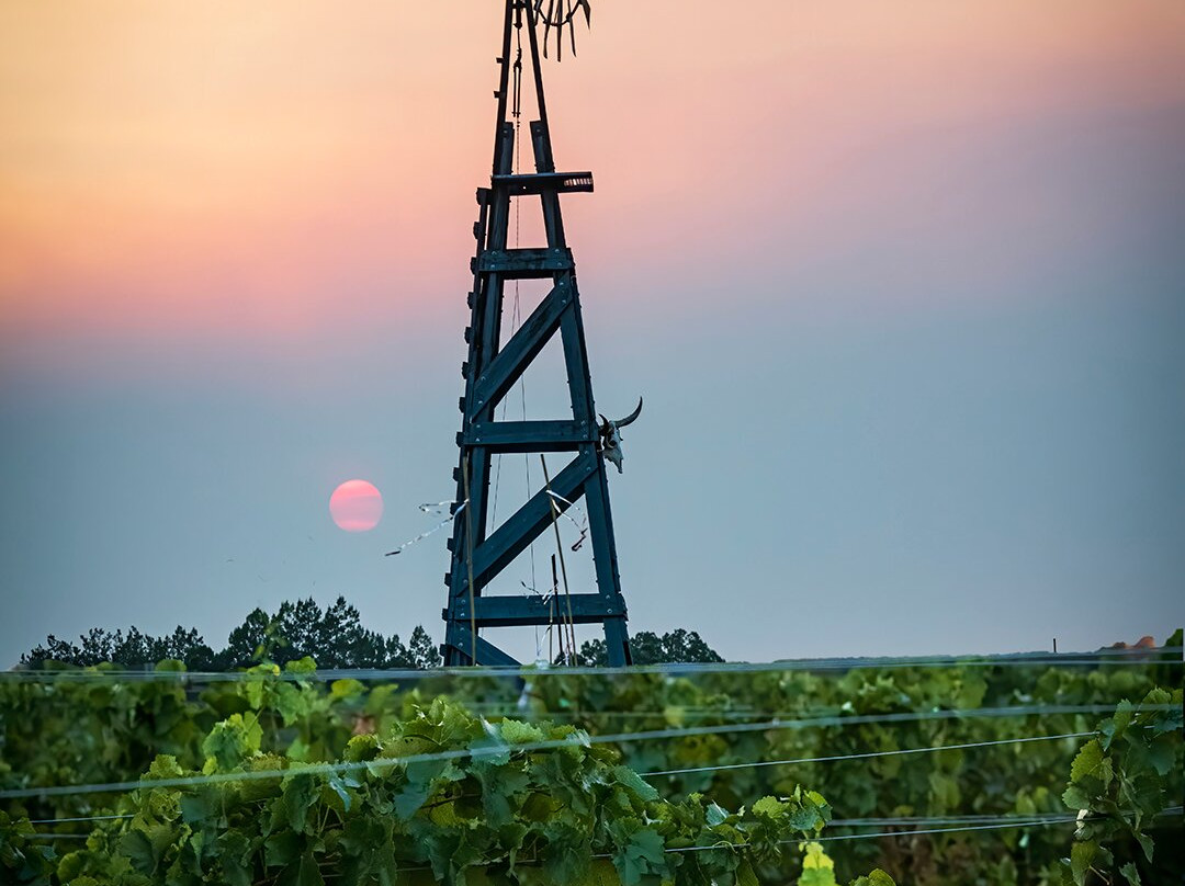 Bruzzi Vineyard-Young必去景点