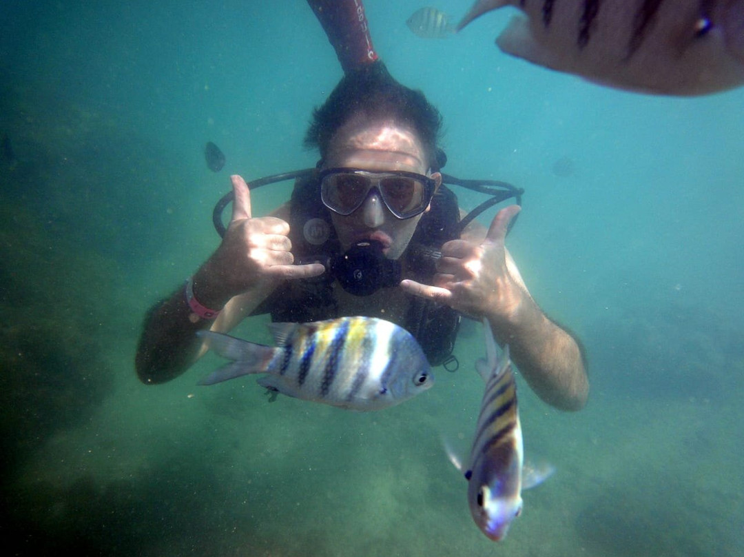 Piscinas Naturais de Barra Grande-Barra Grande必去景点