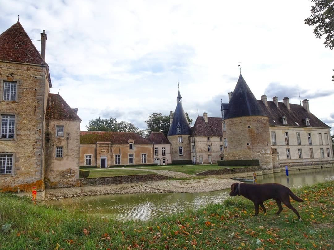 Chateau de Commarin景点图片