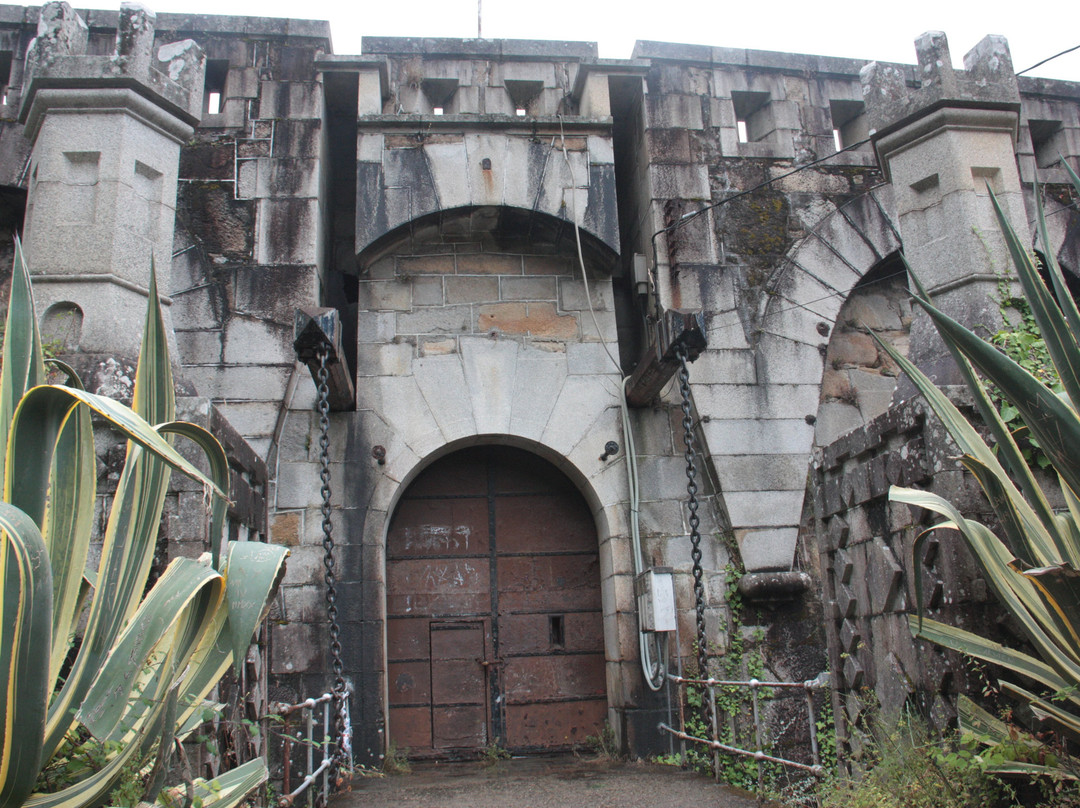 Castillo La Palma景点图片
