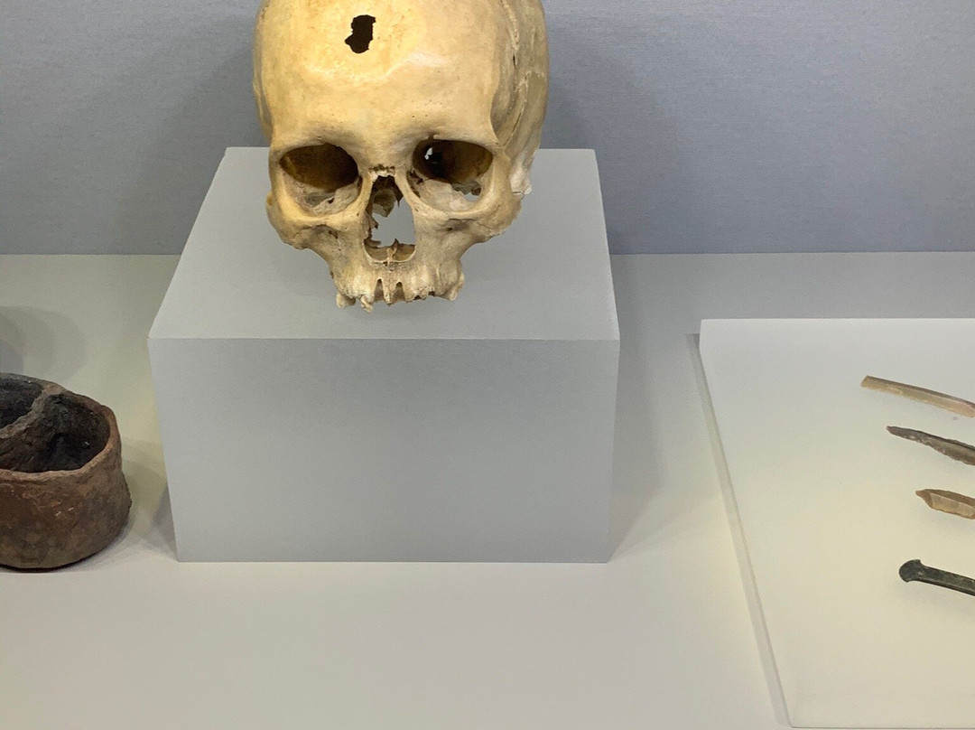 Museum of Almeria景点图片