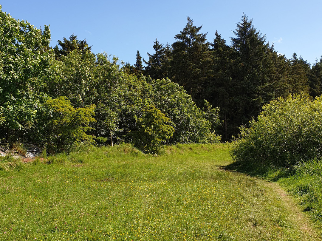 Woodburn Forest & Reservoir景点图片