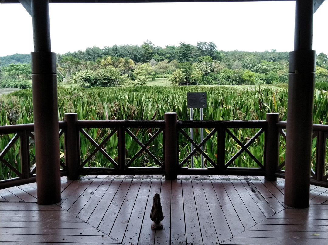 Putrajaya Wetlands Park-太子城必去景点