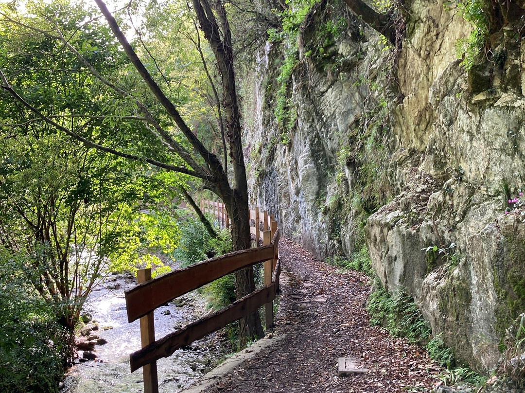 Roggia DI Calavino景点图片