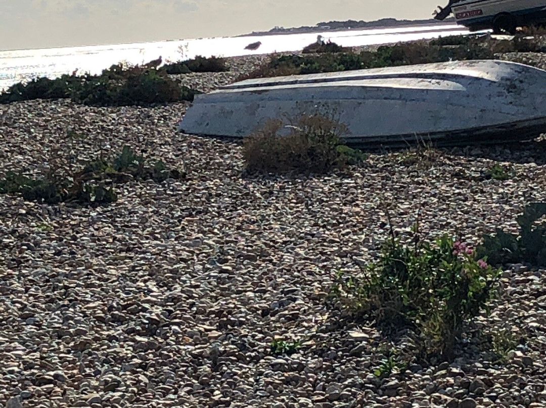 Pagham Beach景点图片