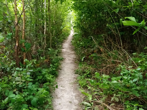 La Forêt Domaniale de Montmorency-Saint-Prix必去景点