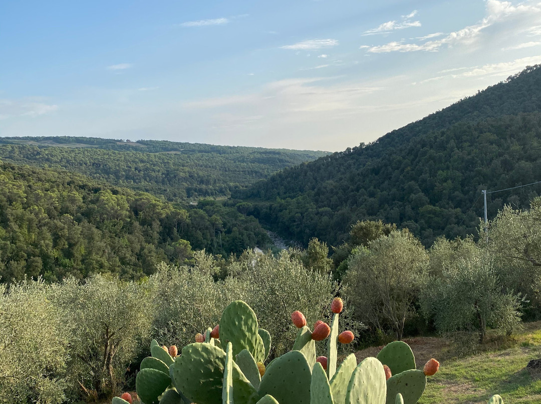 Agriturismo La Mignola主图