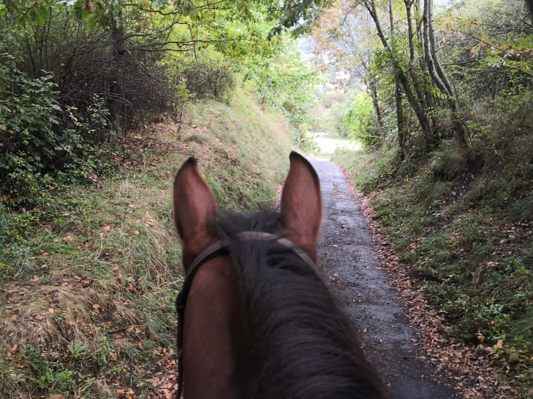 Sa Posada ASD-Bosio必去景点