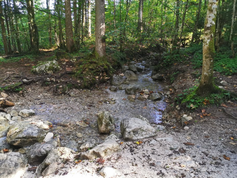 Malerwinkel Rundweg am Koenigssee景点图片