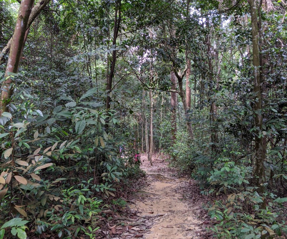 Ayer Hitam Forest Reserve景点图片