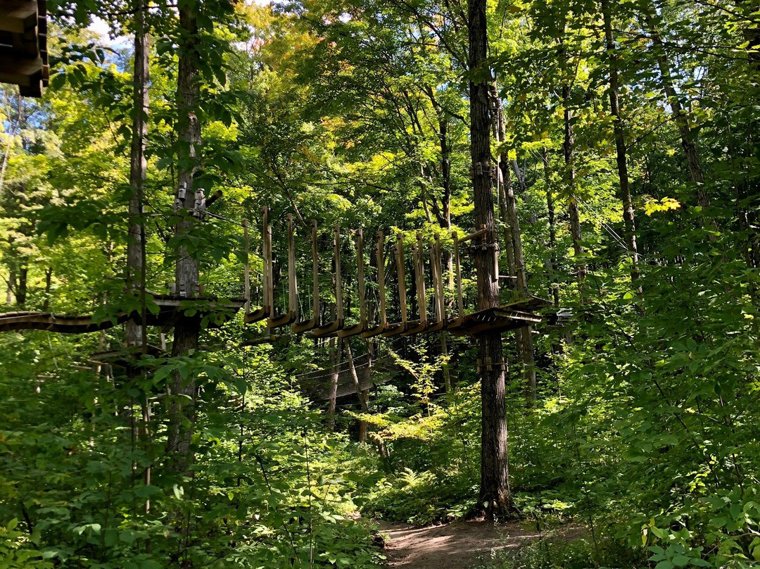 Treetop Trekking-Barrie景点图片