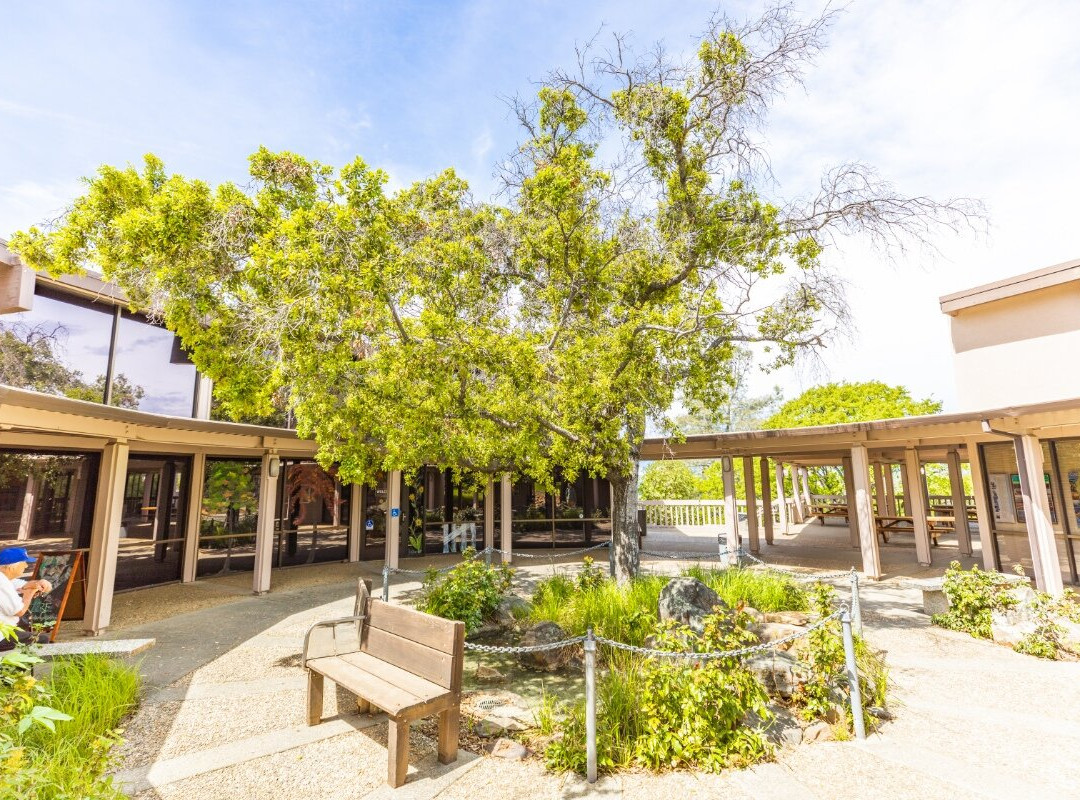 Lake Oroville Visitors Center景点图片