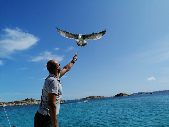 Goletta Silvia di Navarra-拉马达莱娜必去景点