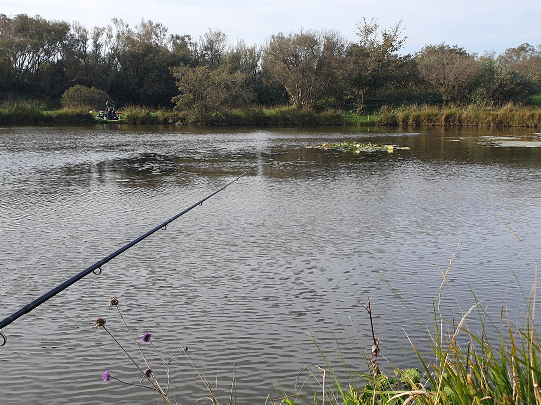 Yet-Y-Gors Campsite and Fishery Fishguard-Dwrbach必去景点
