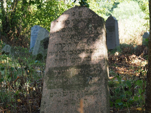 Jewish Old Cemetery In Krynki