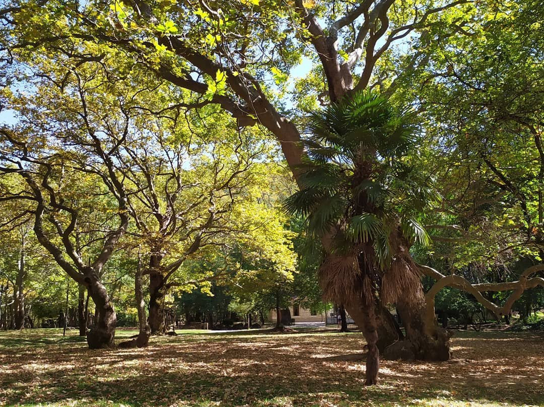 Agios Nikolaos Park-Naousa必去景点