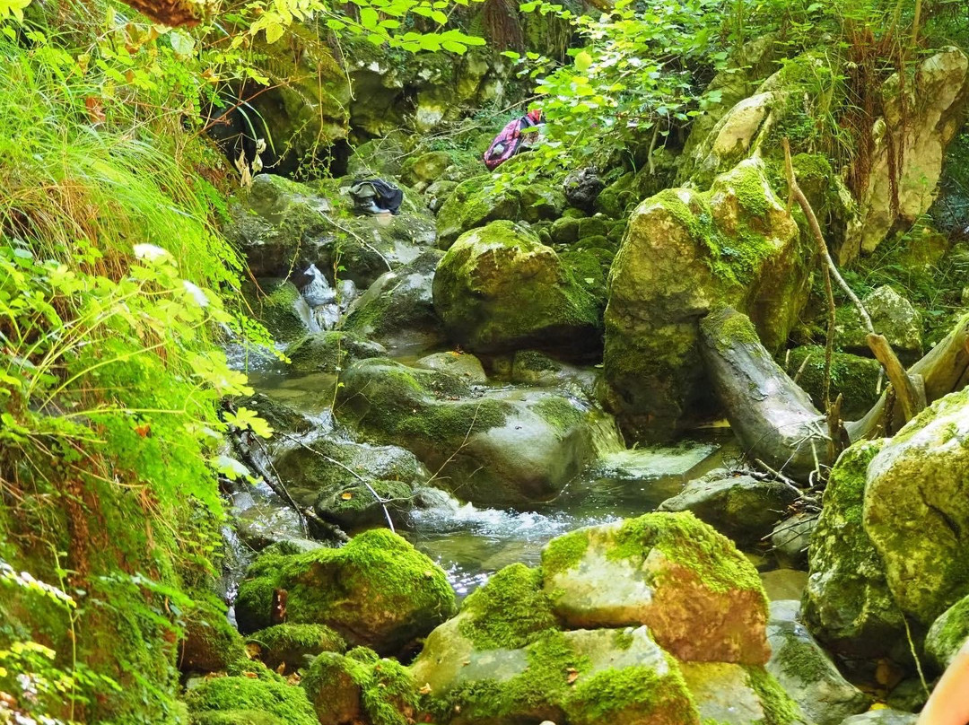Asturias Yoga-Avin必去景点