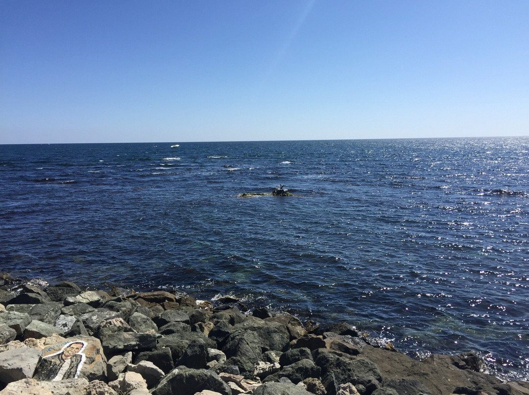 Hotel Ancora Beach主图