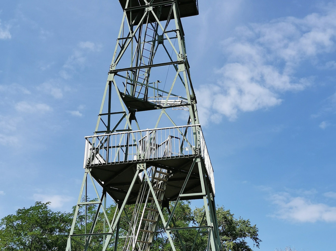 Nationalpark Neusiedler See – Seewinkel-Illmitz必去景点