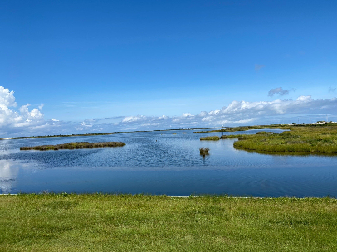 Pea Island National Wildlife Refuge景点图片