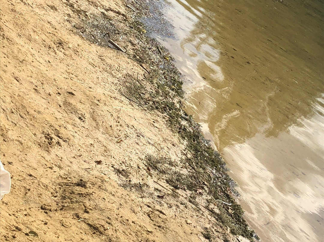 Cotswold Country Park & Beach景点图片