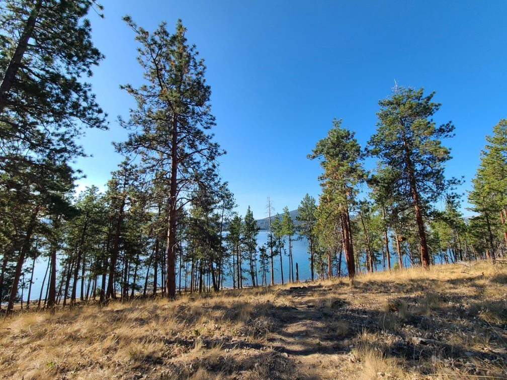 Wild Horse Island State Park-卡利斯佩尔必去景点