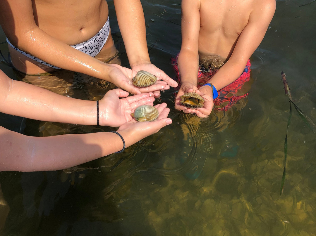 Happy Ours Kayak and Bike Outpost-Port Saint Joe必去景点