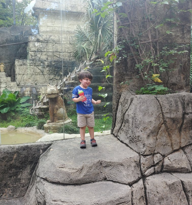 Hattiesburg Zoo景点图片
