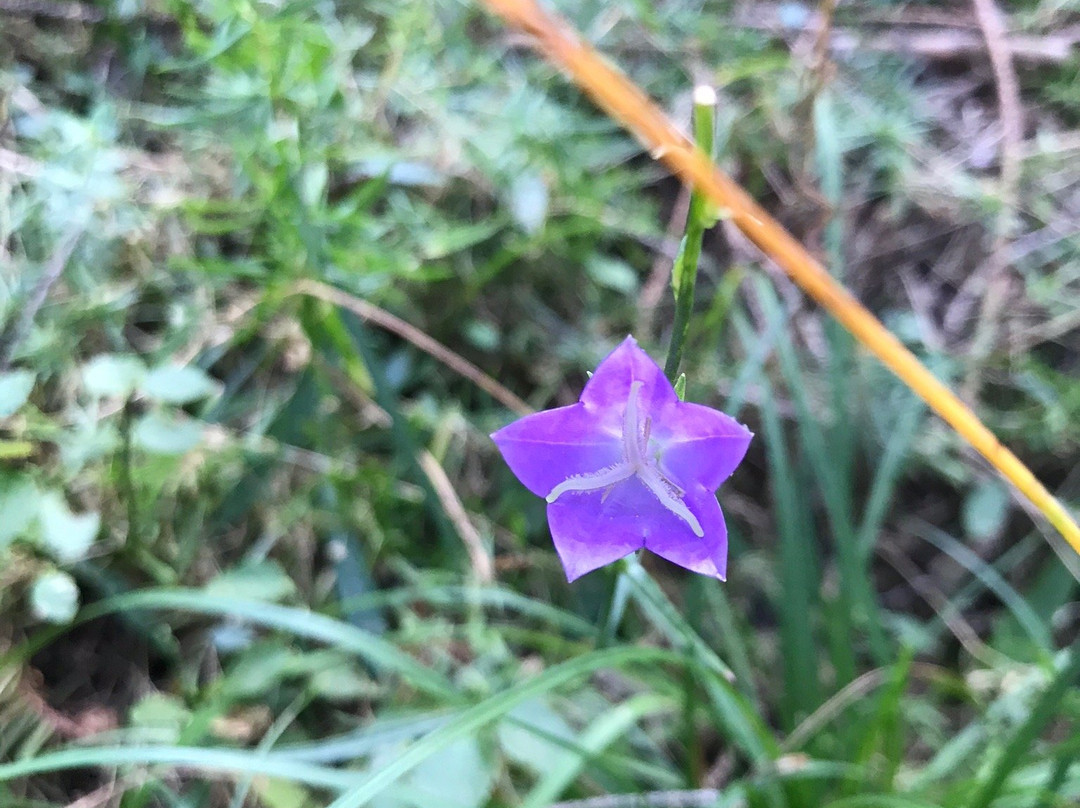 Ecotrail Neviastata-斯莫梁必去景点