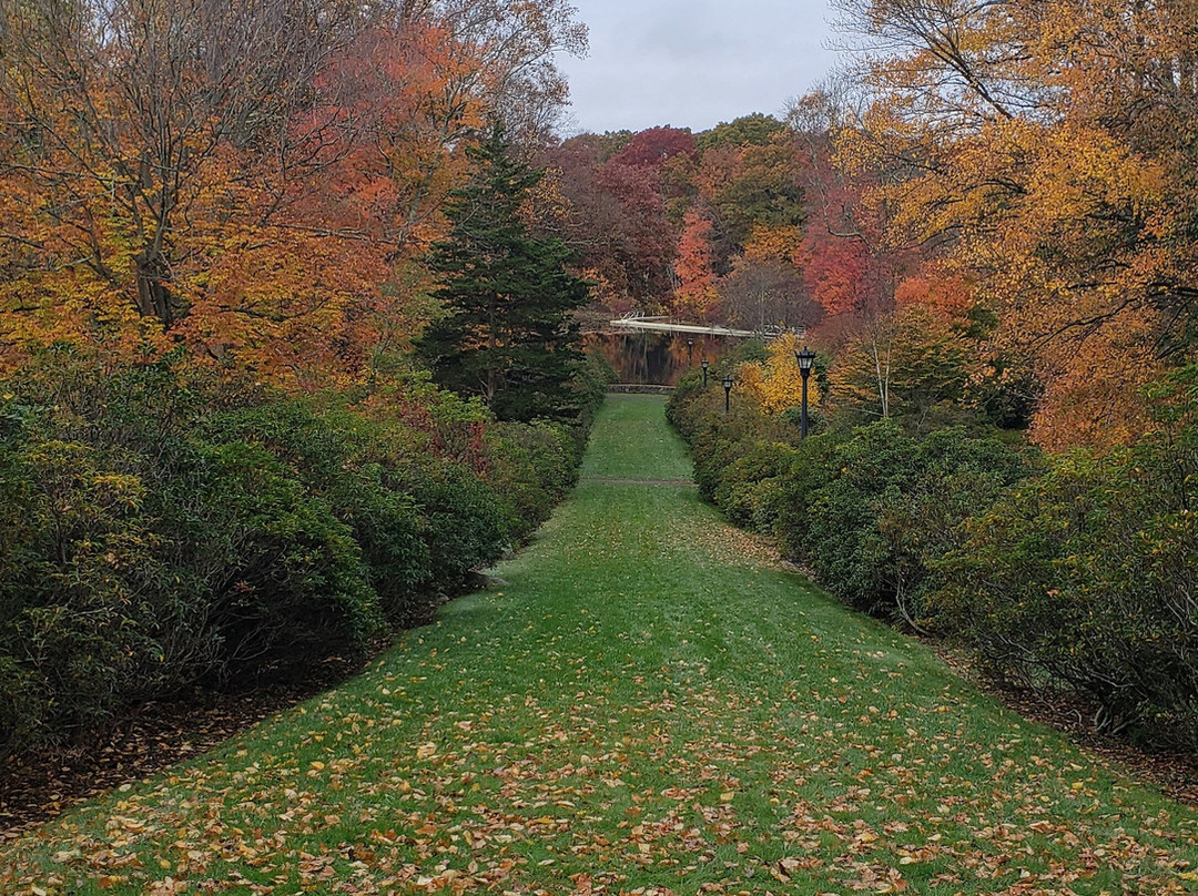 Connecticut College Arboretum-新伦敦必去景点