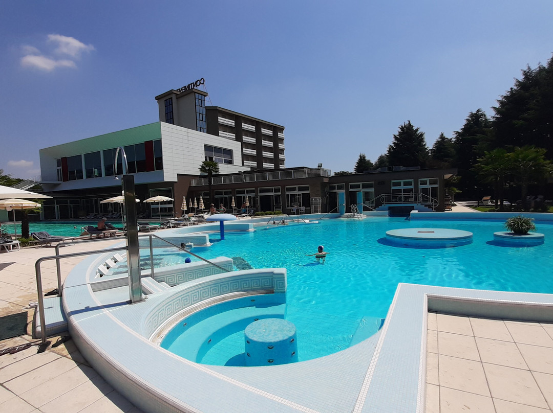 Continental Terme Hotel主图