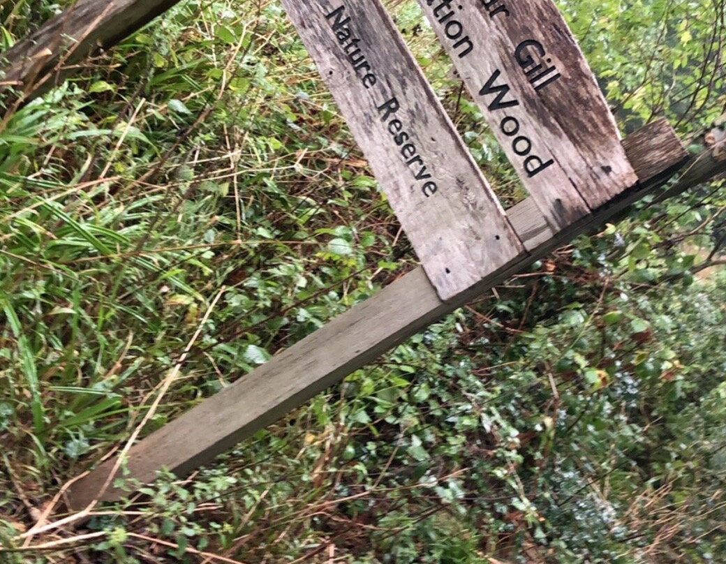 Old Roar Gill-海斯廷斯必去景点