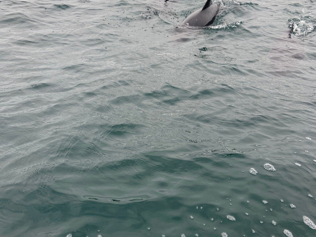 St Ives Boat Rides-圣艾维斯必去景点