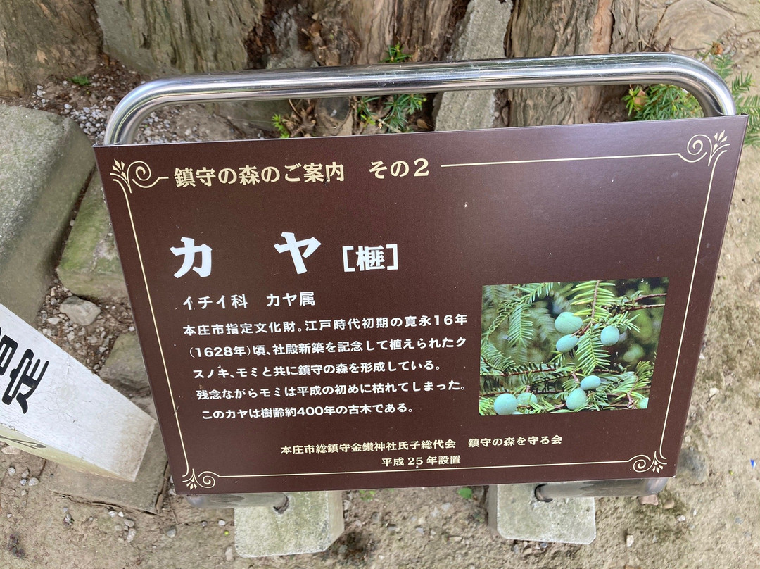 Kanasana Shrine-本庄市必去景点