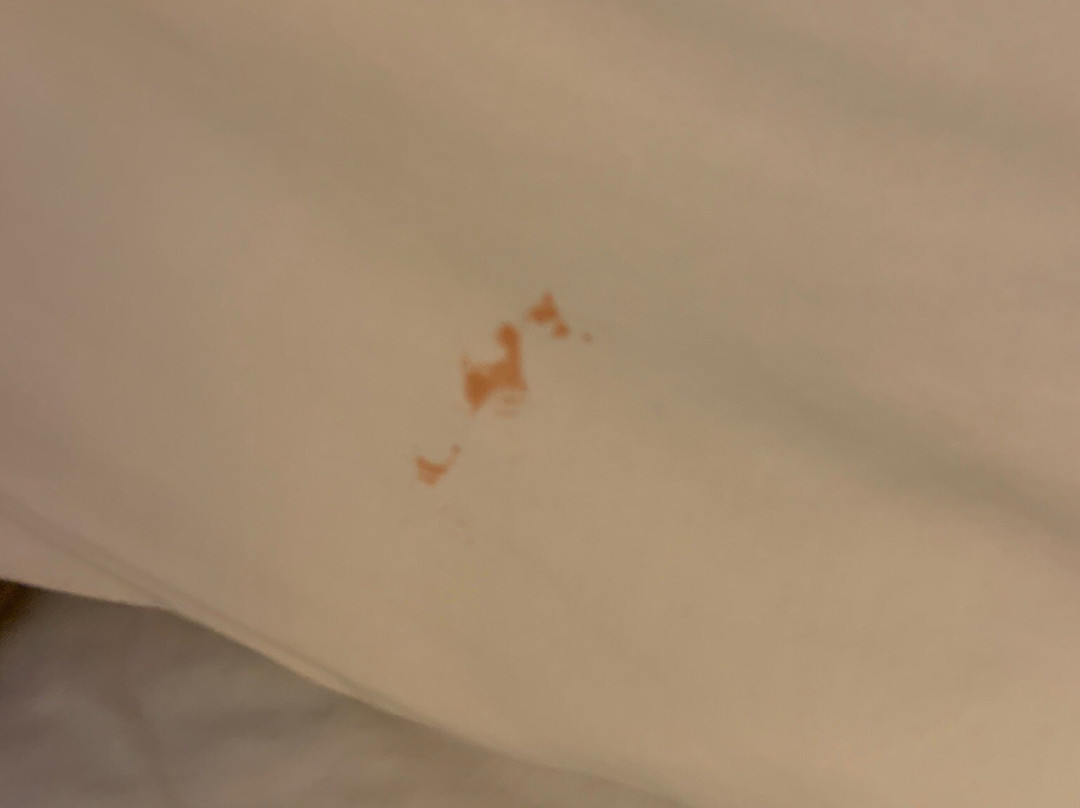 Americas Best Value Inn主图