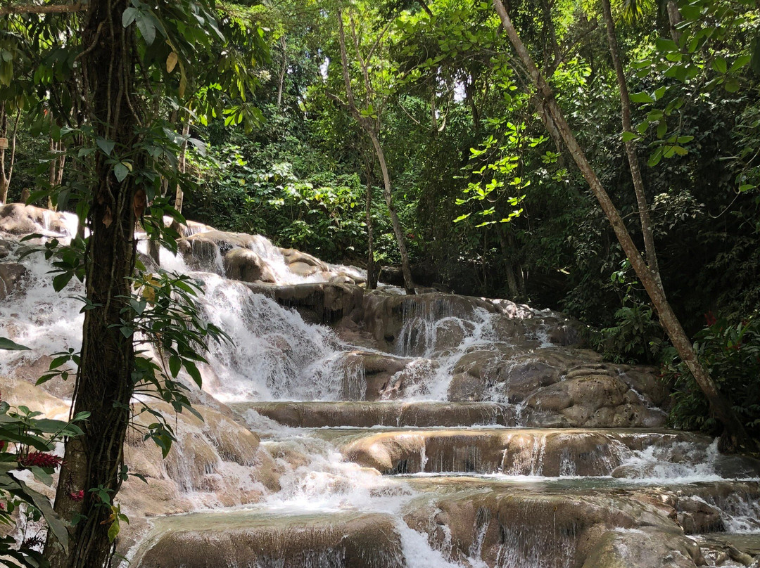 Grand Jamaica and Dunns River Falls Tour-法尔茅斯必去景点