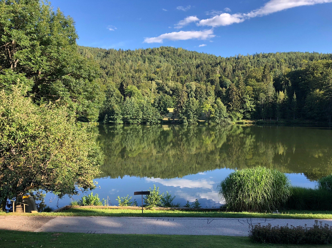 Landgasthof Trattnig主图