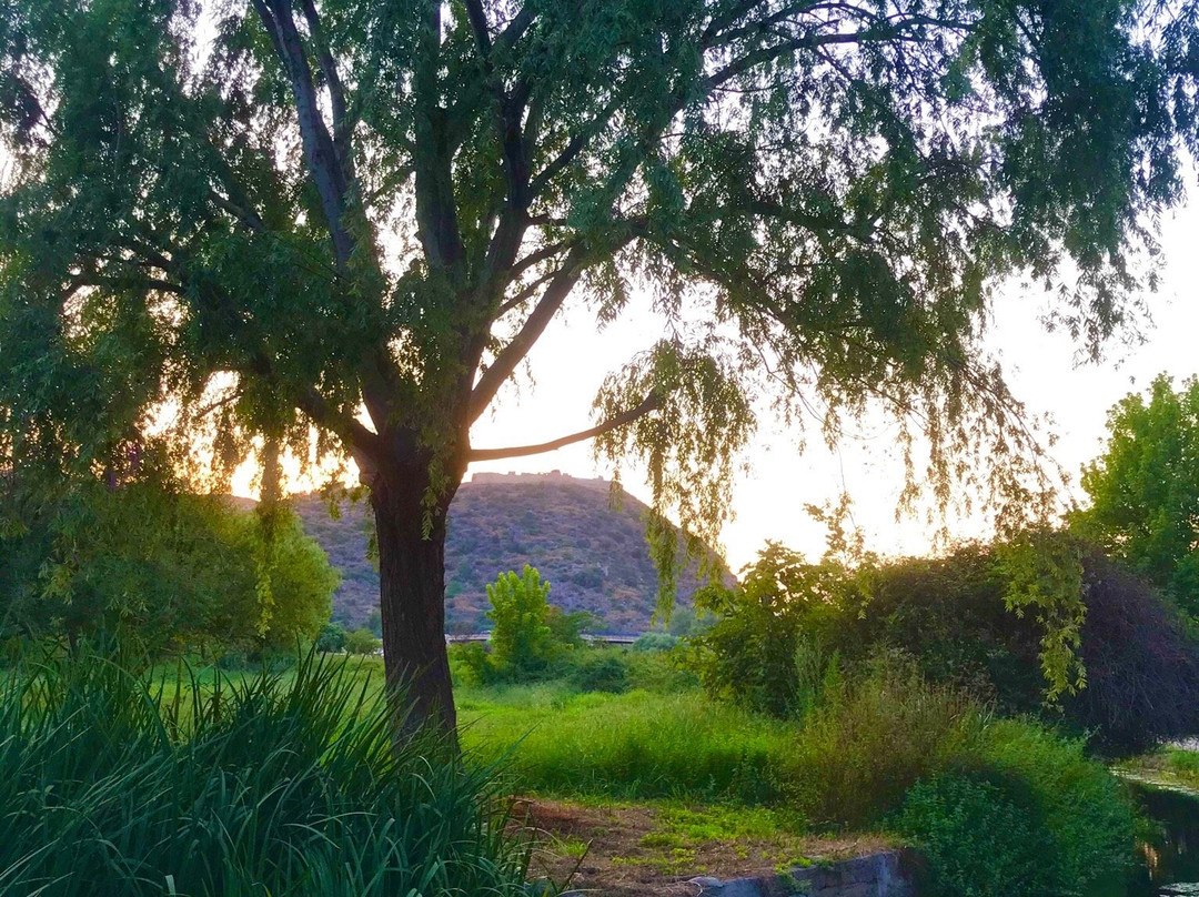 Aula Natura Marjal de Gandia景点图片
